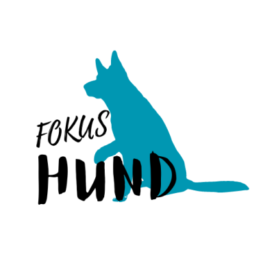 Fokus Hund